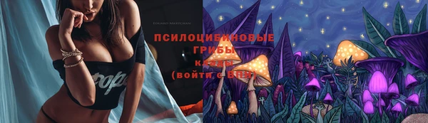 шишки Осинники