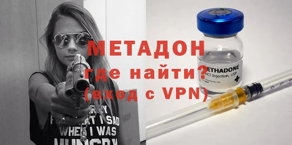 шишки Осинники