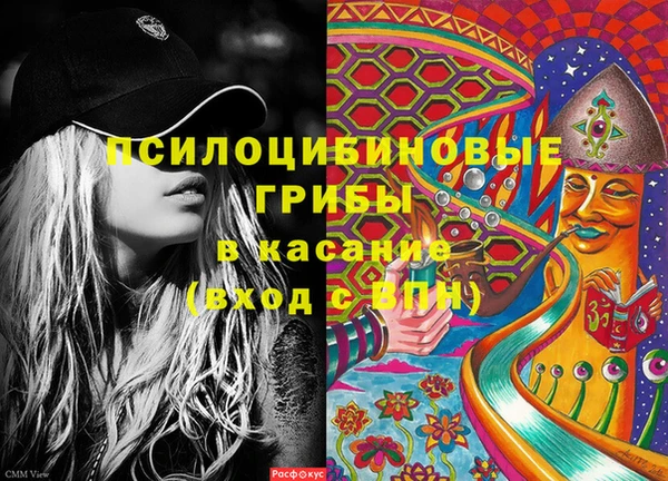 МДПВ Пересвет