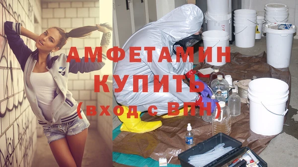 шишки Осинники