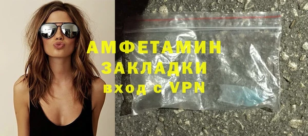 шишки Осинники