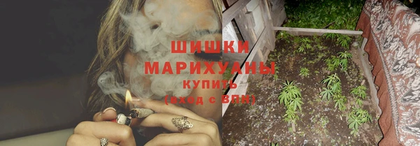 шишки Осинники