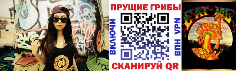 Галлюциногенные грибы Psilocybine cubensis  Купить где  Чапаевск 